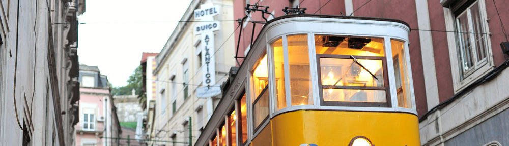 Webbdesign och Utveckling